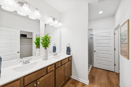 Audubon 40's by Smith Douglas Homes in Magnolia - image 12