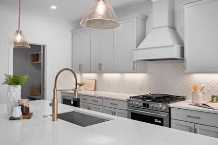 Vineyard Lakes by New Leaf Builders in Johns Island - image 5