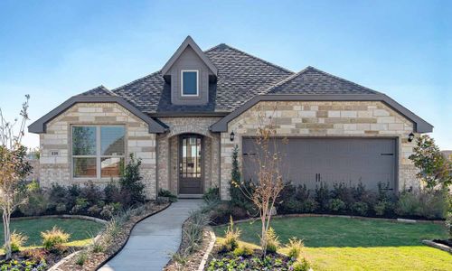 Arcadia Trails by Impression Homes in Balch Springs - photo 0