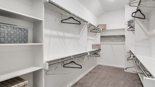 Harvest by CB JENI Homes in Argyle - image 10