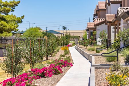 Parkside Villas by AW Residental in Chandler - image 4