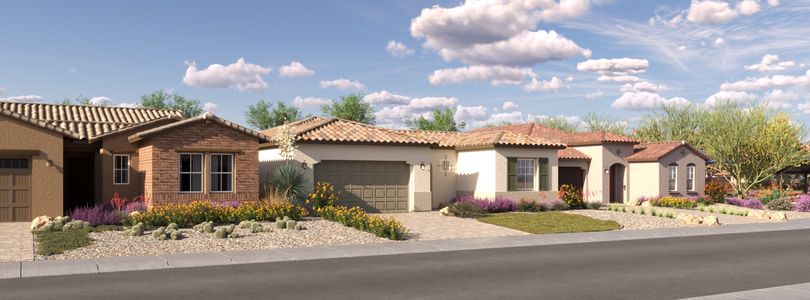 Aloravita: Signature 1