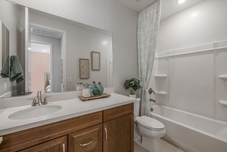 The Grove at El Cidro by William Ryan Homes in Goodyear - photo 54 54