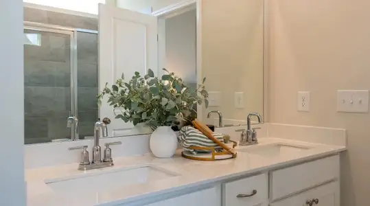 Reserve at Clinton Commons: Dream 4