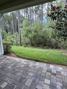 Del Webb Nocatee by Del Webb in Ponte Vedra - image 6