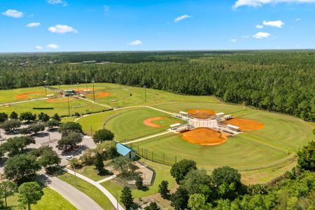 Whiteview Village by KB Home in Palm Coast - photo 6 6