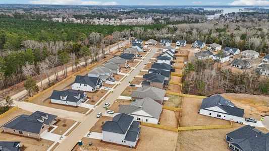 Collins Cove by Great Southern Homes in Chapin - image 14