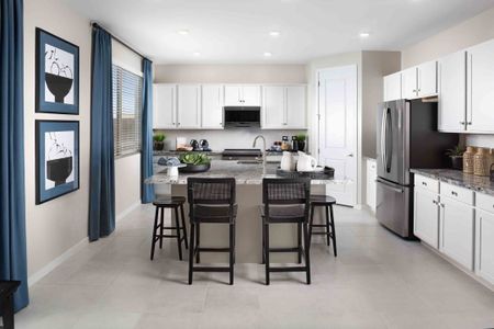 The Residences Collection at Copper Falls by New Home Co. in Buckeye - photo 10 10