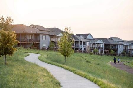 Barefoot Lakes by American Legend Homes in Firestone - photo 26 26