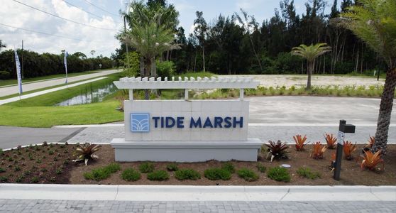 Tide Marsh by Neal Communities in Fort Myers - image