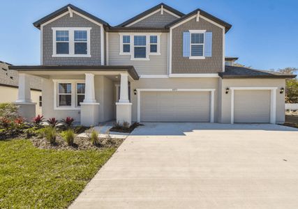 Tamarack at Two Rivers by William Ryan Homes in Zephyrhills - photo 10 10