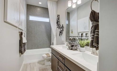 Mirada Crossing by Brightland Homes in Goodyear - photo 20 20