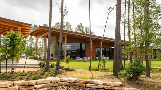 Evergreen 50' by Perry Homes in Conroe - image 16