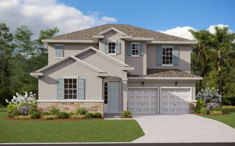 Cypress Park Estates by Dream Finders Homes in Haines City - photo 14 14