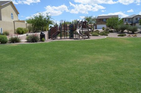 Hatfield Ranch by Providence Homes (Arizona) in Tolleson - photo 5 5