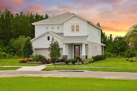 Persimmon Park - Garden Series by David Weekley Homes in Wesley Chapel - photo 9 9