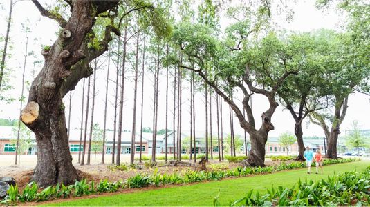 Heron's Walk at Summers Corner: Carolina Collection 33