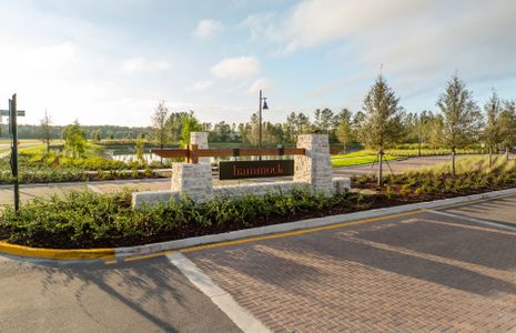 Two Rivers by Pulte Homes in Zephyrhills - image 14