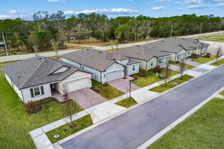 Berry Bay by M/I Homes in Wimauma - image 13