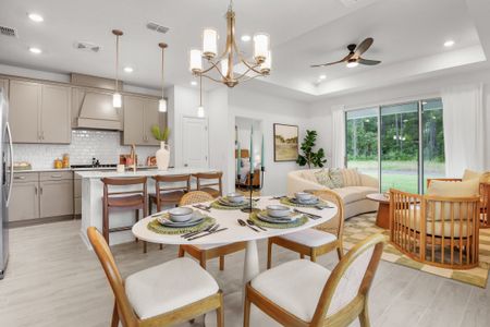 Brook Forest by Dream Finders Homes in St. Augustine - photo 38 38