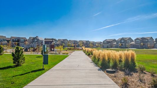 Sky Ranch by D.R. Horton in Watkins - image 4