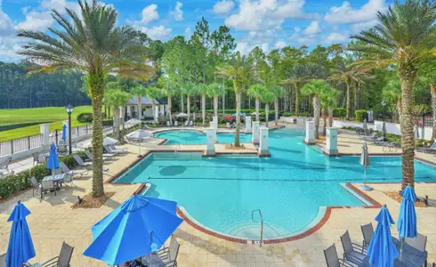 Amelia National by ICI Homes in Fernandina Beach - image 14