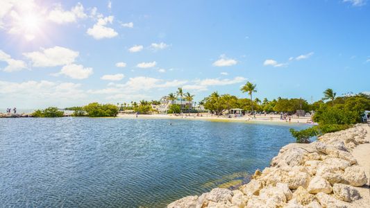Ibis Cove by Lennar in Homestead - image