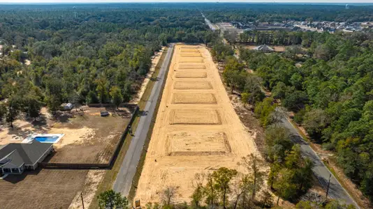 Prosperity Point by Herbst Homes in Milton - image 9