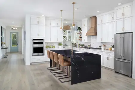 Palmera Wellen Park - Classic Series by David Weekley Homes in Venice - image 5