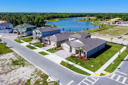 Hawthorne Ranch by M/I Homes in Lakeland - photo 11 11