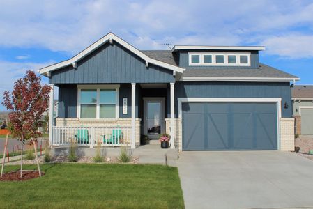 Wilson Commons by Aspen Homes in Loveland - photo 2 2