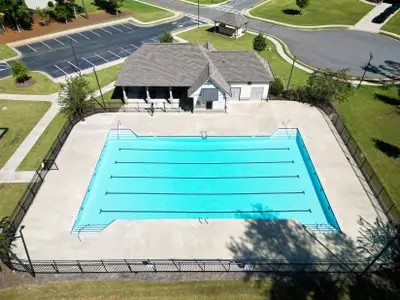 Woodland Hills by Reliant Homes in Loganville - image 2