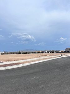 The Grove at El Cidro by William Ryan Homes in Goodyear - image 20