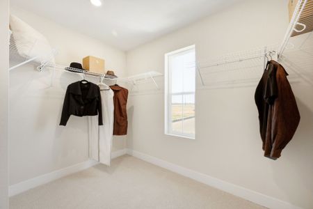 Waterfield - Single Family Homes 35