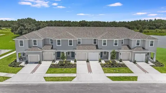 The Townhomes at River Landing by Taylor Morrison in Wesley Chapel - photo 13 13