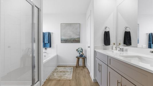 Westland Ranch 50' Homesites by D.R. Horton in League City - image 11