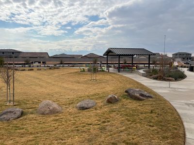 Blossom Rock by Tri Pointe Homes in Apache Junction - photo 2 2