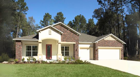 Magnolia Estates by Maronda Homes in Lakeland - photo 0