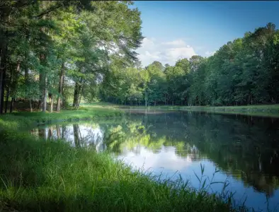 Ponder by Garman Homes in Wendell - image