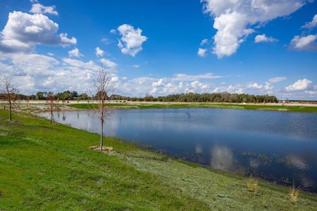 Center Lake On The Park by M/I Homes in St. Cloud - photo 24 24