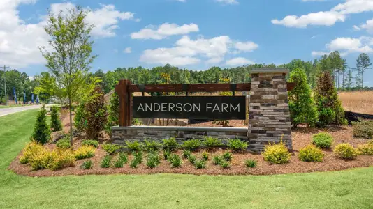 Anderson Farm by D.R. Horton in Wendell - photo 1 1