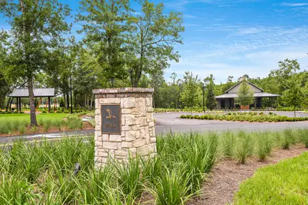 Shearwater by Dream Finders Homes in St. Augustine - image 19