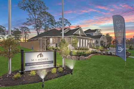 Sorella by M/I Homes in Tomball - image 17