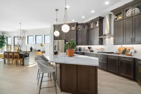 Brookewater 55’ Homesites by David Weekley Homes in Rosenberg - image 4