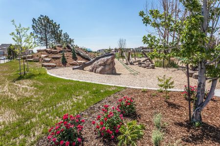 Trailside Alley Load - Single Family Homes 42