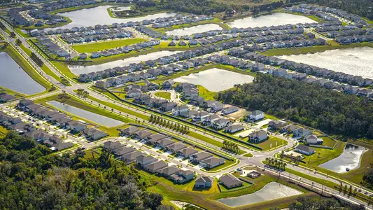 Berry Bay by D.R. Horton in Wimauma - image