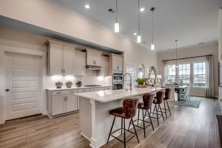 Arcadia by Mungo Homes in Myrtle Beach - image 4