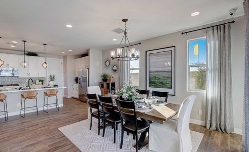 The Lakes at Rancho El Dorado by Brightland Homes in Maricopa - photo 20 20