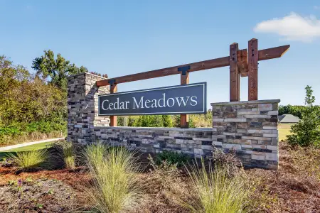 Cedar Meadows by Smith Douglas Homes in Monroe - image
