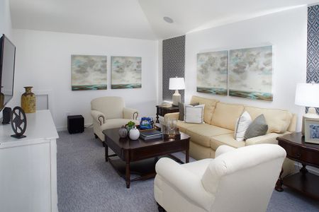 Inspiration - Grace Village by Shaddock Homes in Saint Paul - photo 16 16